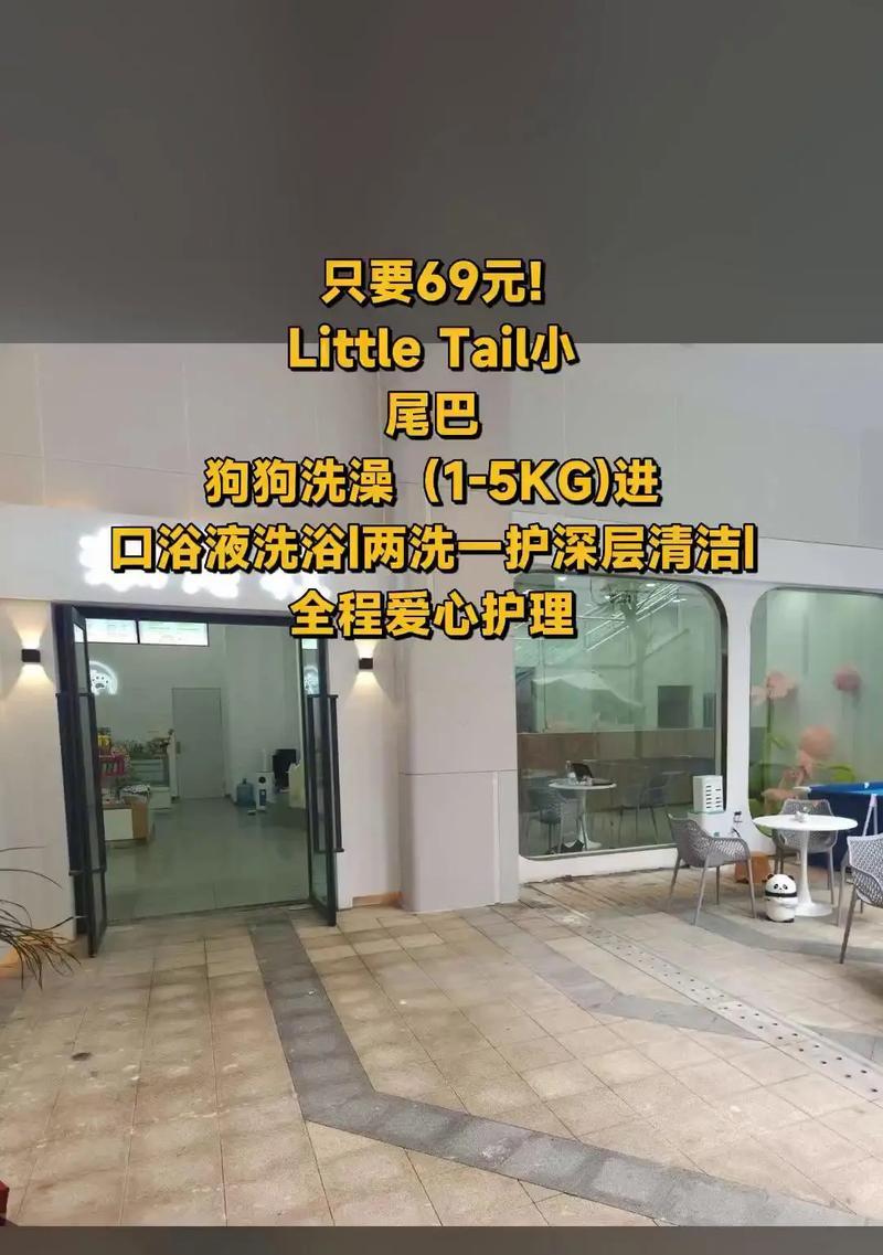 幼犬的干洗频率及注意事项（幼犬干洗的最佳时间和注意事项）