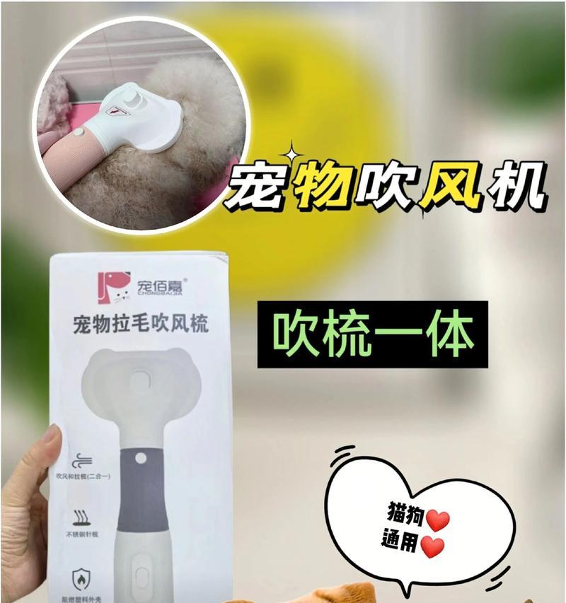 新手铲屎官的幼犬饲养指南（为你的小狗提供最好的护理和爱心）