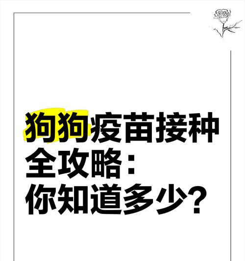 关于狗狗注射疫苗的必备知识（铲屎官需掌握的疫苗注射常识）