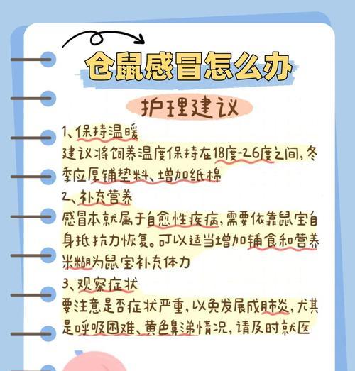 仓鼠感冒的治愈时间及护理方法（一起了解仓鼠感冒的症状、治愈时间以及护理要点）