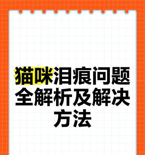 揭秘猫咪流眼泪有泪痕的5个原因（猫咪眼泪留痕背后的奥秘）