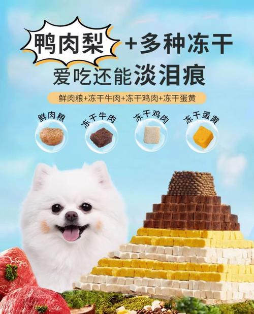 清淡狗粮推荐（让你的宠物拥有健康的饮食习惯）