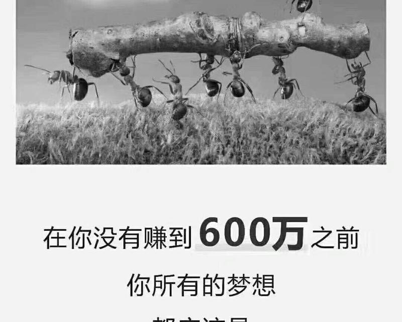 养猫一年需要花多少钱？（经验分享，不算不知道，一算吓一跳！）