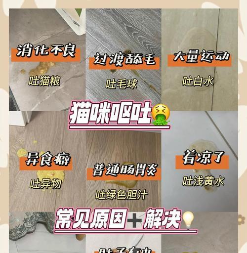 猫咪胃肠炎的病因、症状及应对措施解析（了解猫咪胃肠炎的成因和防治方法，让爱宠健康快乐）