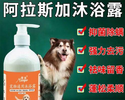 哈士奇洗澡指南（哈士奇洗澡的频率及注意事项）
