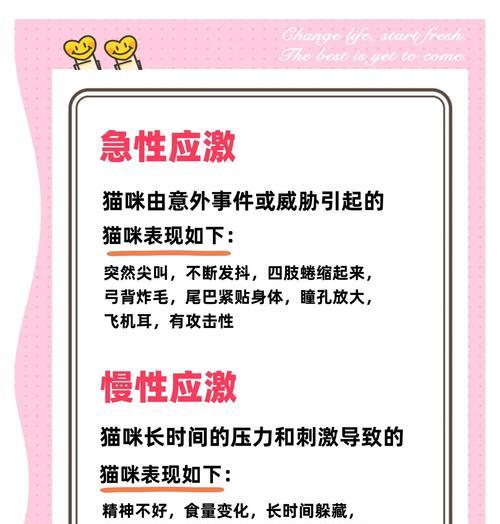 猫咪呼吸困难的处理方法（如何帮助猫咪缓解呼吸困难）
