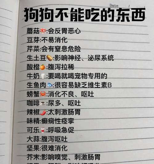 狗狗出生多久开始吃东西？（狗狗吃食物的适宜时间和注意事项）