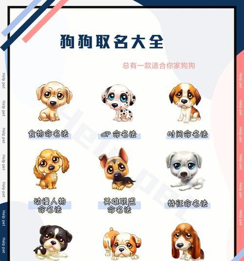 宠物狗狗名字大全！寻找最适合你的狗狗名字（选择独特又贴切的名字，让你的狗狗与众不同）