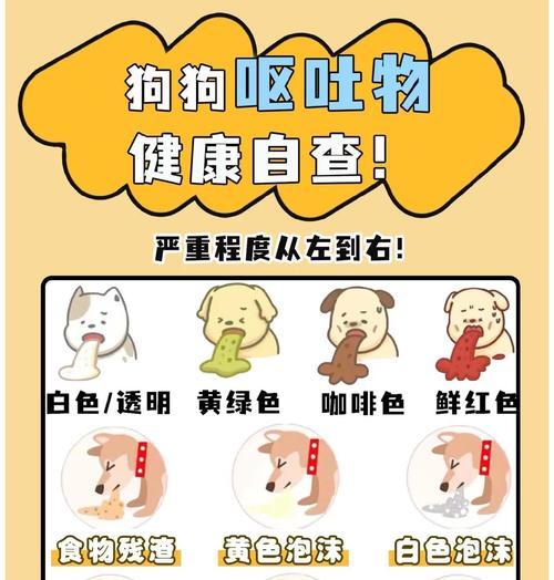 为什么狗狗需要注射疫苗？（保护狗狗免受疾病侵害的重要措施）