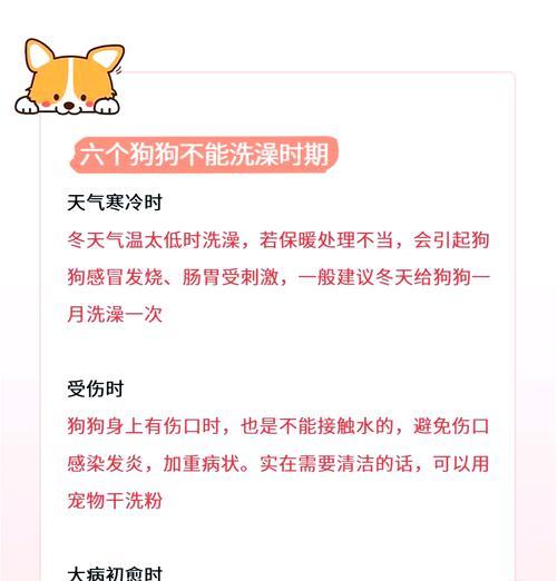狗狗打完第二针疫苗后多久可以洗澡？（了解适宜洗澡的时间和注意事项，让狗狗健康快乐成长）