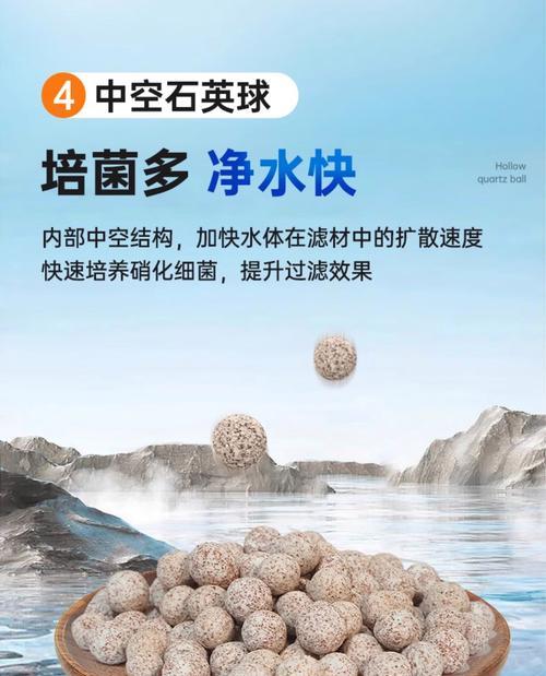 水族箱过滤材料的选择与使用（了解不同类型的过滤材料，让水族箱保持清澈透明）