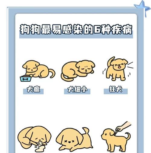 人犬共患病（了解人犬共患病及预防措施）