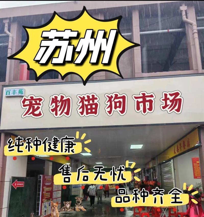 苏州宠物市场的热门品牌及其特色（探索苏州宠物市场中的主要品牌，从中发现独特的特色）