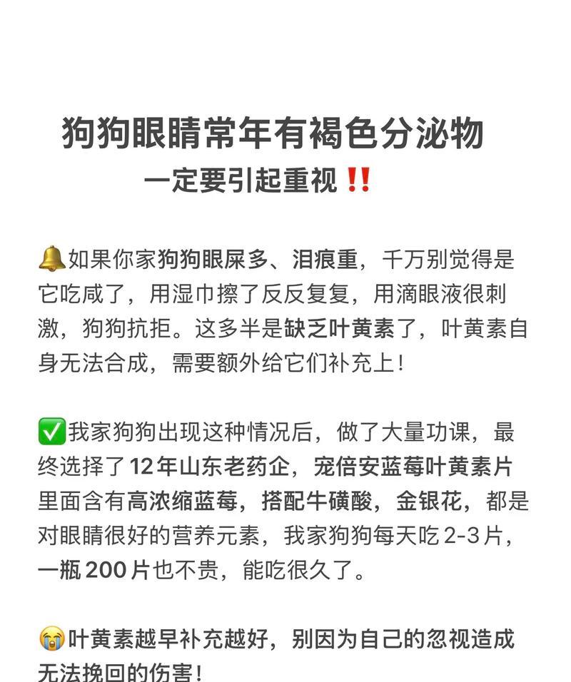 如何有效清洁狗狗眼屎？（药物治疗与定期清洁是关键）