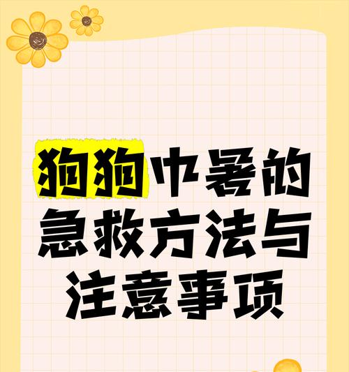 如何预防狗狗中暑？（关键方法与注意事项）