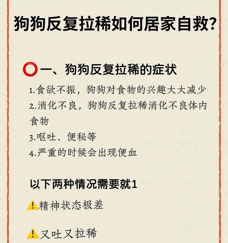 狗狗拉血后应禁食多久？（狗狗拉血后的饮食控制关键）