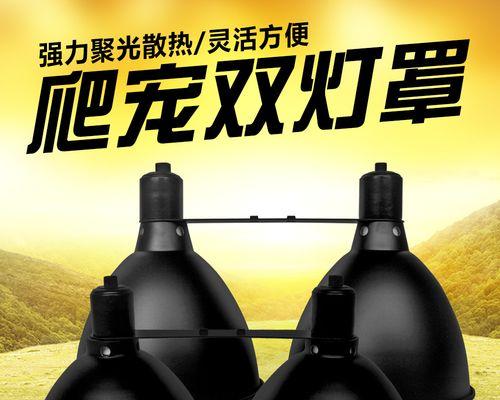 太阳灯的使用时间对应用寿命的影响（爬虫太阳灯开多久合适？）
