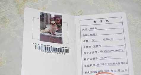 狗的检疫证办理需要多长时间？（办理狗的检疫证所需时间与流程解析）
