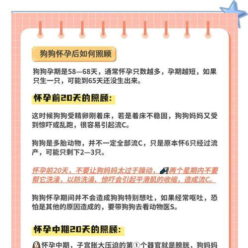 母狗的妊娠周期及分娩时间详解（狗狗怀孕需要多久生？母狗的分娩过程解析）