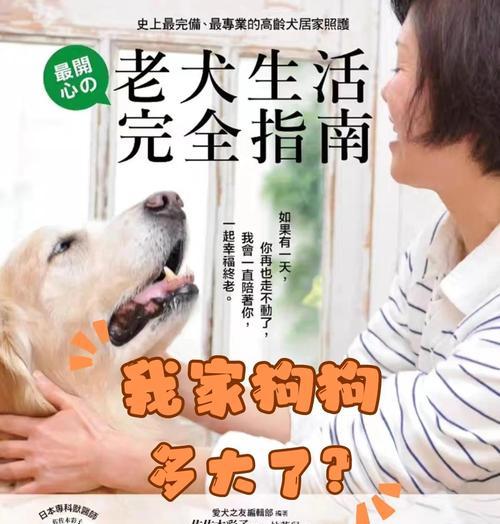 小型犬为何活得更长？探寻背后的原因（解密小型犬寿命长的三大因素）