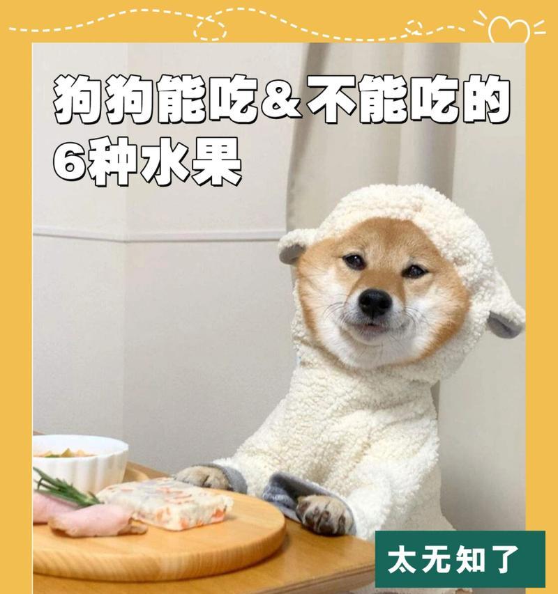狗狗能吃什么水果？（小心不要过量喂食，这些水果适合狗狗）
