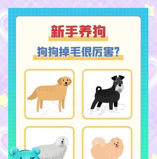 幼犬脱水的危险性及预防措施（探究幼犬脱水的原因及对幼犬健康的威胁）