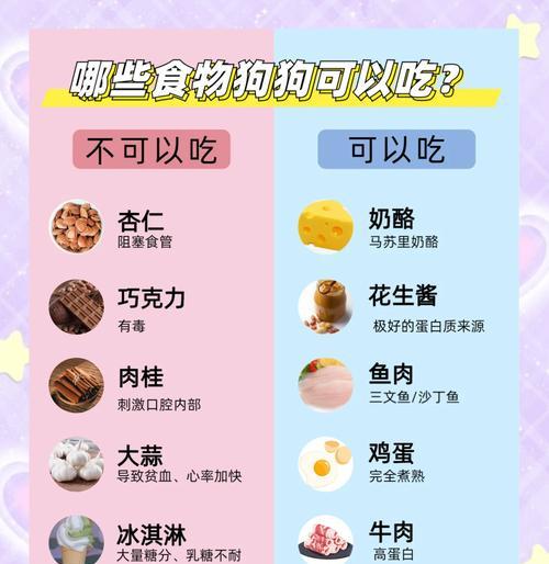狗狗不吃不喝水会有什么影响？（探讨狗狗不进食和饮水的时间限制及其对健康的影响）