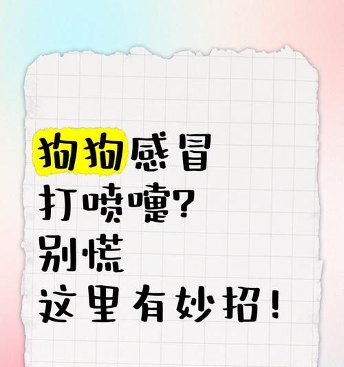 狗狗感冒的症状及如何发现（了解狗狗感冒的常见症状和注意事项）