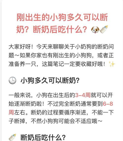 断奶多久才合适？（婴儿断奶的最佳时机和注意事项）