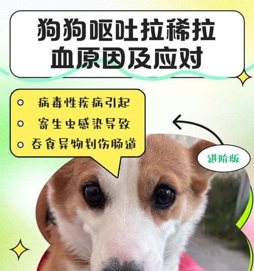 幼犬常见传染病详解（探究幼犬传染病的种类、症状及预防措施）