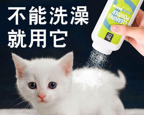幼犬洗澡的正确频率和选择干洗粉的关键（幼犬洗澡频率与干洗粉的选择对犬健康的影响分析）