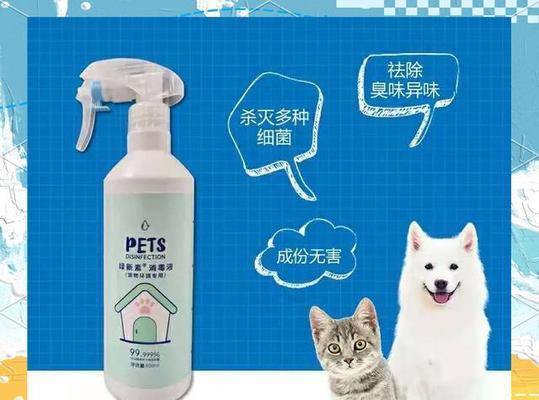宠物狗猫消毒问题揭秘（消毒剂中的危险成分对宠物造成伤害）