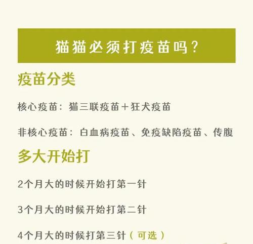 猫的疫苗接种时间表（了解关于猫咪疫苗接种的必要知识，为它们的健康提供全面保护）