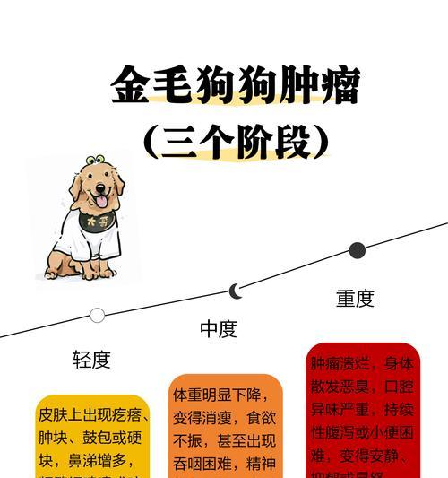 金毛犬的饮食禁忌（探究金毛犬不能吃哪些食物及其危害）