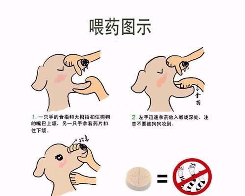 猫尿路感染吃药多久能见效？（了解治疗猫尿路感染所需时间）