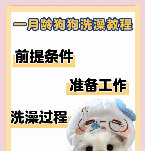 如何正确给狗狗洗澡（洗澡时间、频率及注意事项）