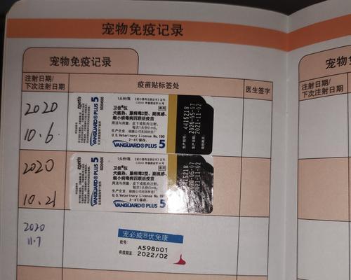 干粉狂犬病疫苗的储存期限及保存条件（狂犬病疫苗有效性的关键因素及注意事项）