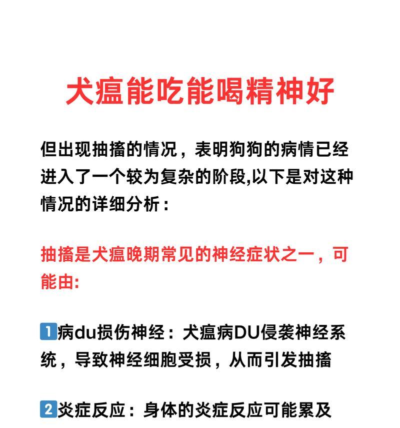 犬瘟抽搐（病程、治疗方法与康复关键）
