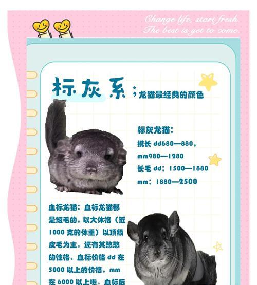 龙猫的特性与饲养方法（了解龙猫，打造幸福饲养环境）