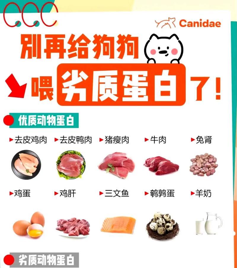 探秘阿拉斯加的食物奇观（狗粮之外，阿拉斯加的食物宝库等你来发现）