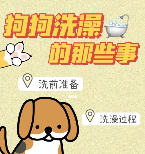 狗狗产后多久洗澡？（帮你了解狗狗产后洗澡的最佳时间和注意事项）