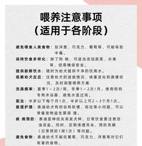 泰迪小奶狗25天的饮食需求及钙片合理使用方法
