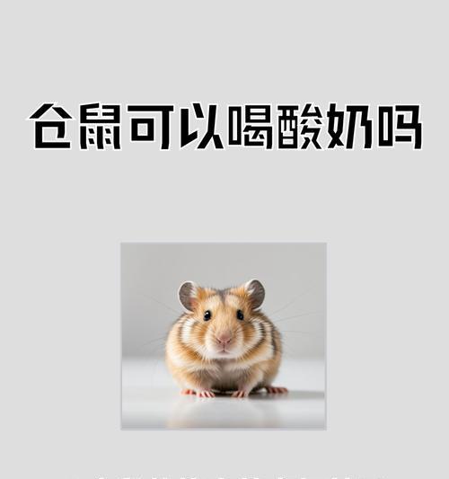 仓鼠的水分来源与需求（了解仓鼠的水分摄取方式及重要性）