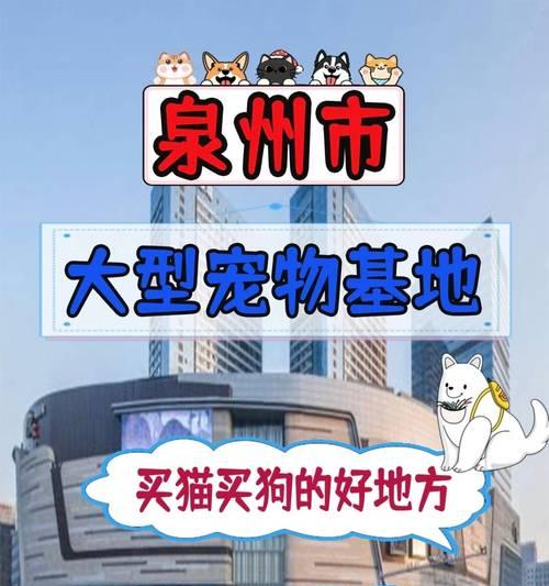 泰迪狗的奔跑之谜（探究泰迪狗的奔跑速度与时间间隔）