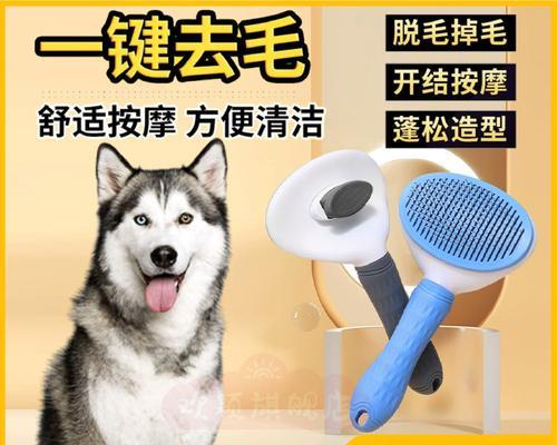 哈士奇掉毛周期及其关键因素（揭秘哈士奇掉毛周期以及如何减少掉毛量）