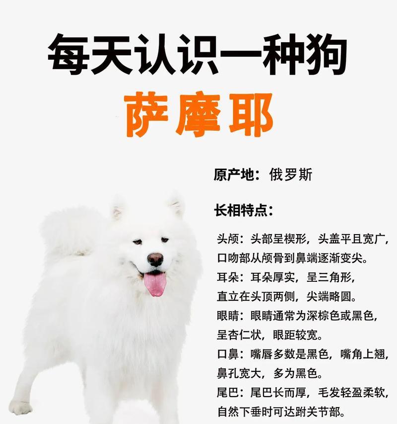 探秘以萨摩多久生产的奥秘（从种植到采摘，揭开以萨摩多生产背后的秘密）