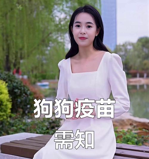 狗狗买回来多久能打疫苗？（疫苗接种时间的重要性和建议）