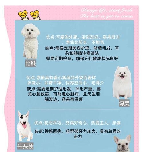 泰迪犬（揭秘泰迪长不大的秘密，泰迪犬与其他犬种的差异及其关键原因）