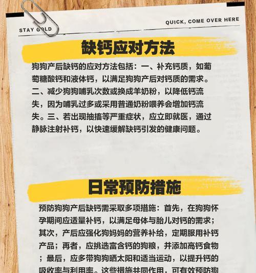 科学补钙，让狗狗更健康（正确的补钙方式让宠物狗远离钙缺乏症）