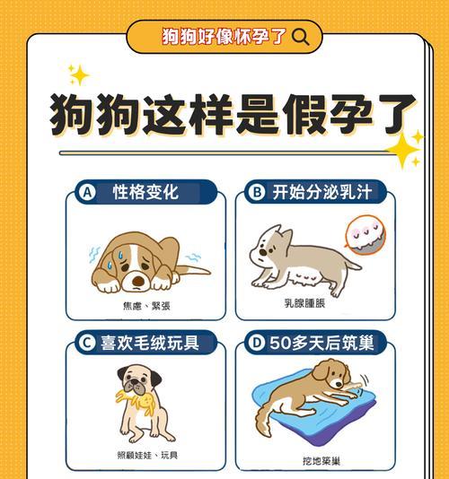 拉布拉多怀孕期间肚子的变化（拉布拉多怀孕多久肚子会变大？以及其他相关注意事项）
